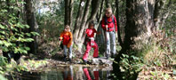 Vandring p� Rothaarsteig