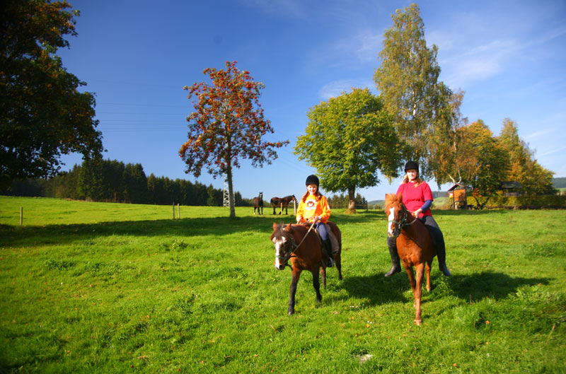 Reiten in Bad Berleburg