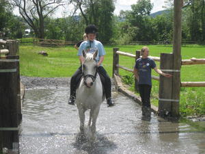 Fun and Ride