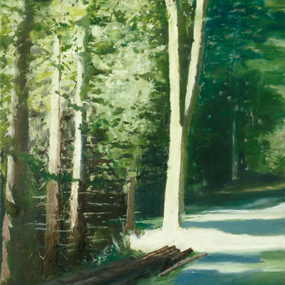 Bild vergr&ouml;&szlig;ern: Waldweg einladung