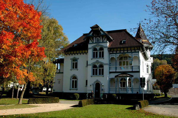 Bild vergr&ouml;&szlig;ern: Rathauspark im Herbst