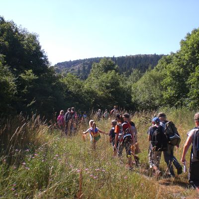 Bild vergr&ouml;&szlig;ern: Cimg2118