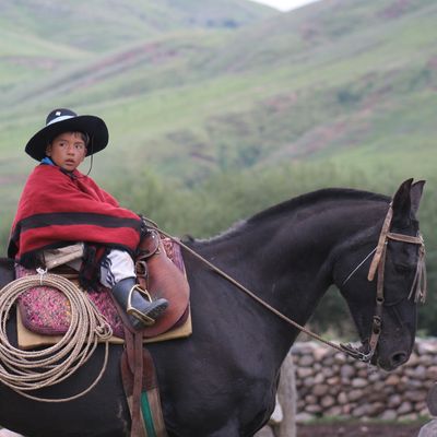 Bild vergr&ouml;&szlig;ern: 2008-1 cafayate tucuman foto  natascha senftleben