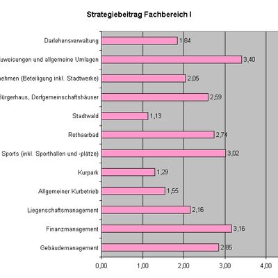 Bild vergr&ouml;&szlig;ern: StrategiebeitragFB1