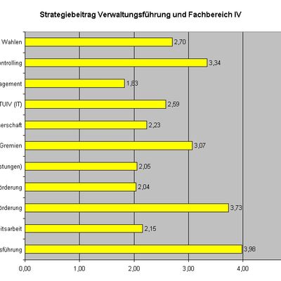 Bild vergr&ouml;&szlig;ern: StrategiebeitragFB4