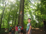 Bild vergr&ouml;&szlig;ern: IMG 0066