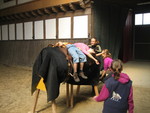 Bild vergr&ouml;&szlig;ern: IMG 0305