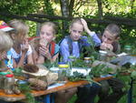 Bild vergr&ouml;&szlig;ern: IMG 0522