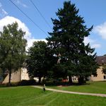 Bild vergr&ouml;&szlig;ern: IMG 20150716 142406