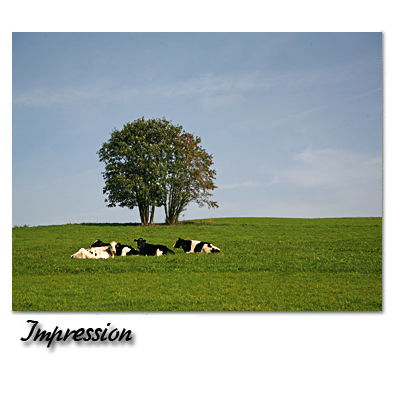 Bild vergr&ouml;&szlig;ern: Impression