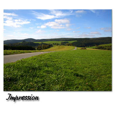 Bild vergr&ouml;&szlig;ern: Impression: Wald und Wiesen