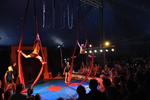 Bild vergr&ouml;&szlig;ern: DSC 0197