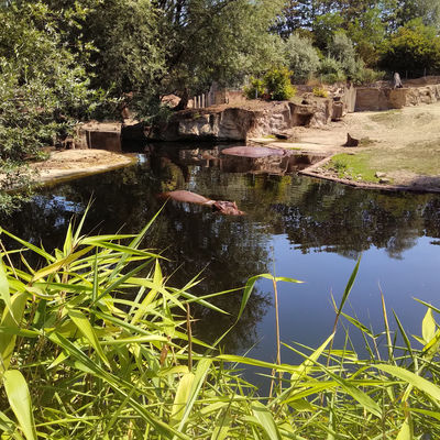 Bild vergr&ouml;&szlig;ern: IMG 20190725 1244094