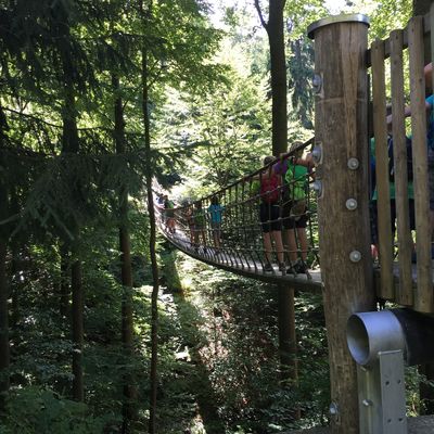 Bild vergr&ouml;&szlig;ern: IMG 7310