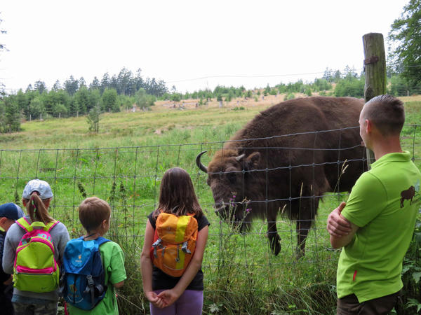 Bild vergr&ouml;&szlig;ern: Ferienspiele 2019 Wisent- und Naturforscher