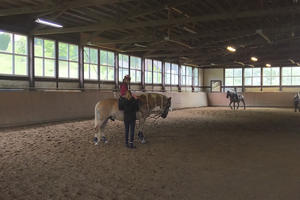 Bild vergr&ouml;&szlig;ern: Schnupperkurs Reiten