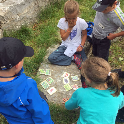 Ferienspiele 2020_Natur-Entdecker-Camp