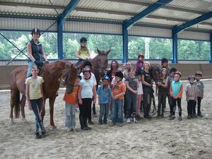 Reiten f&uuml;r Anf&auml;nger