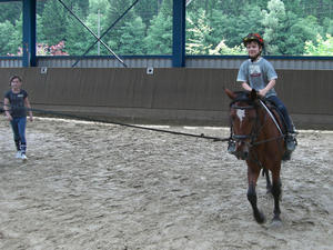 Reiten f&uuml;r Anf&auml;nger
