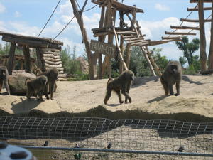 Zoom Erlebniswelt