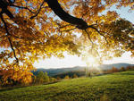 Bild vergr&ouml;&szlig;ern: Herbst