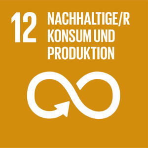 Bild vergrößern: SDG 12