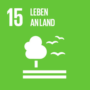 Bild vergrößern: Logo des 15. Ziels für nachhaltige Entwicklung: Leben an Land. Dieses stellt ein Piktogramm eines Baumes und von Vögeln dar.