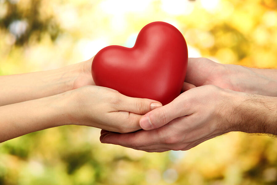 Bild vergrößern: Im Bild sieht man wie eine Männer und eine Frauenhand ein rotes Herz gemeinsam in ihren Händen halten.