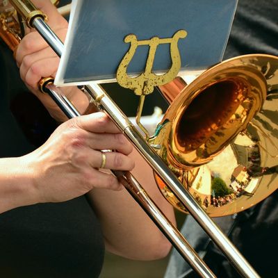 Bild vergr&ouml;&szlig;ern: Instrumentalvereine
