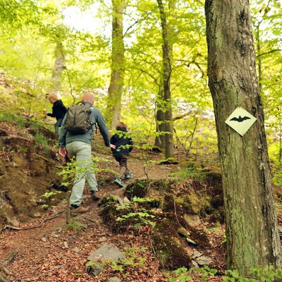 Bild vergr&ouml;&szlig;ern: Im Bild sieht man eine Wandergruppe. Ein Mann und zwei Kinder klettern einen Pfad nach oben. An einem Baum auf der rechten Seite im Bild erkennt man das Wanderzeichen Fledermausweg.