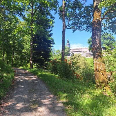 Bild vergr&ouml;&szlig;ern: Im Bild sieht man einen Waldweg, der sich durch den Schlo&szlig;park schl&auml;ngelt und im Hintergrund sieht man Schlo&szlig; Berleburg.