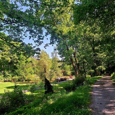 Bild vergr&ouml;&szlig;ern: Auf der rechten Seite des Bildes sieht man den Weg, der durch den Schlo&szlig;park f&uuml;hrt, eingebettet in einen sch&ouml;nen Baumbestand. Auf der linken Seite schaut man auf einen der Teiche im Schlo&szlig;park.