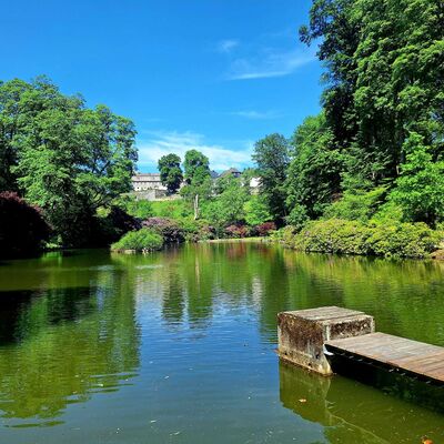 Bild vergr&ouml;&szlig;ern: Im Vordergrund des Bildes schaut man auf einen kleinen Steg, der im Teich des Schlo&szlig;park liegt. Im Hintergrund sieht man einen wundersch&ouml;nen Baumbestand der den Teich einrahmt und auf der Anh&ouml;he im Hintergrund Schlo&szlig; Berleburg.