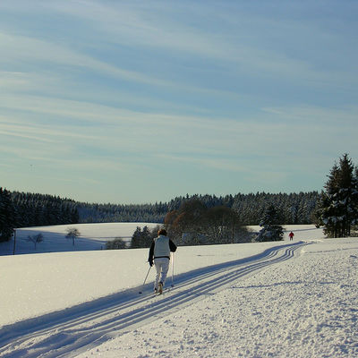 Bild vergrößern: Ein Langläufer nutzt die Loipe an einem sonnigen Wintertag.