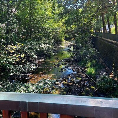 Bild vergr&ouml;&szlig;ern: Man schaut von einer Br&uuml;cke direkt auf den Flusslauf der Odeborn, eingebettet mit B&auml;umen an beiden Flussufern.