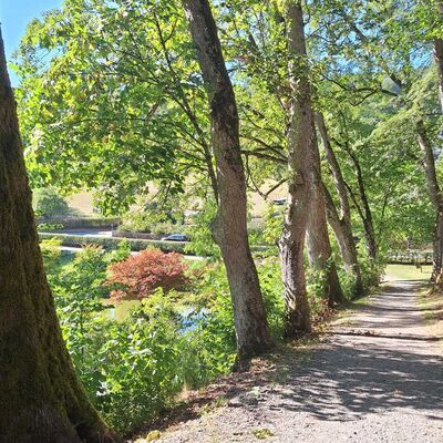 Bild vergr&ouml;&szlig;ern: Man schaut direkt auf eine Baumallee mit gro&szlig;en alten B&auml;umen. Auf der linken Seite sieht man im Hintergrund ein Teil des Schlo&szlig;parkes. Auf dem ersten Baum rechts erkennt man die Wanderschilder der M&auml;rchenspur und der Wasserspur - Kneipp Terrainweg.