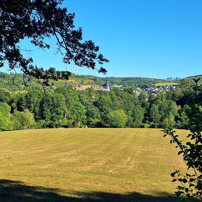 Bild vergr&ouml;&szlig;ern: Man schaut im Vordergrund des Bildes &uuml;ber eine Wiese. In der Mitte des Bildes sieht man Schloss Bad Berleburg eingebettet mit den B&auml;umen des Schlo&szlig;park. Rechts und links vom Schloss kann man im Hintergrund Wohnh&auml;user erkennen.