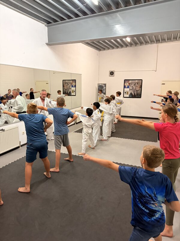 Bild vergr&ouml;&szlig;ern: Taekwondo Ferienspiele