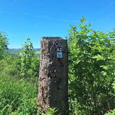 Bild vergr&ouml;&szlig;ern: Im Vordergrund sieht man einen Baumstumpf, an diesem ist das Wegzeichen Wasserspur des Kneipp Terrainweges angebrecht. Im Hintergrund schaut man auf gr&uuml;ne B&uuml;sche und Kleingew&auml;chs und einen blauen Himmel am Horzizont.