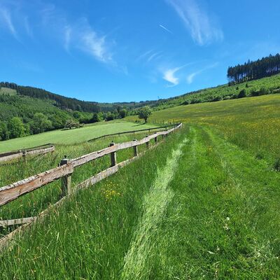 Bild vergr&ouml;&szlig;ern: Man schaut auf eine gr&uuml;ne Landschaft, der Weg f&uuml;hrt an einem Holzzaun entlang und man schaut in der Ferne auf Waldst&uuml;cke mit Mischwald und Fichten.