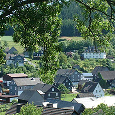 Bild vergrößern: Das Bild zeigt einen idyllischen Ausblick über den Richsteiner Dorfkern.