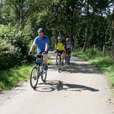 Bild vergr&ouml;&szlig;ern: Drei Personen fahren hintereinander auf einem Asphaltweg Fahrrad. Rundherum stehen Str&auml;ucher und B&auml;ume.