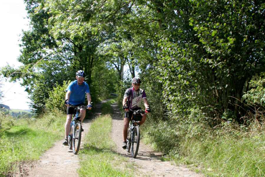 Bild vergrößern: Zwei Personen fahren nebeneinander auf einer wassergebundenen Schotterdecke Fahrrad.  Rechtsseitig stehen Bäume, links ist der Beginn einer Wiese zu sehen.