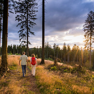 Bild vergrößern: Ein Mann und eine Frau wandern im Sonnenuntergang über eine Anhöhe im Wald